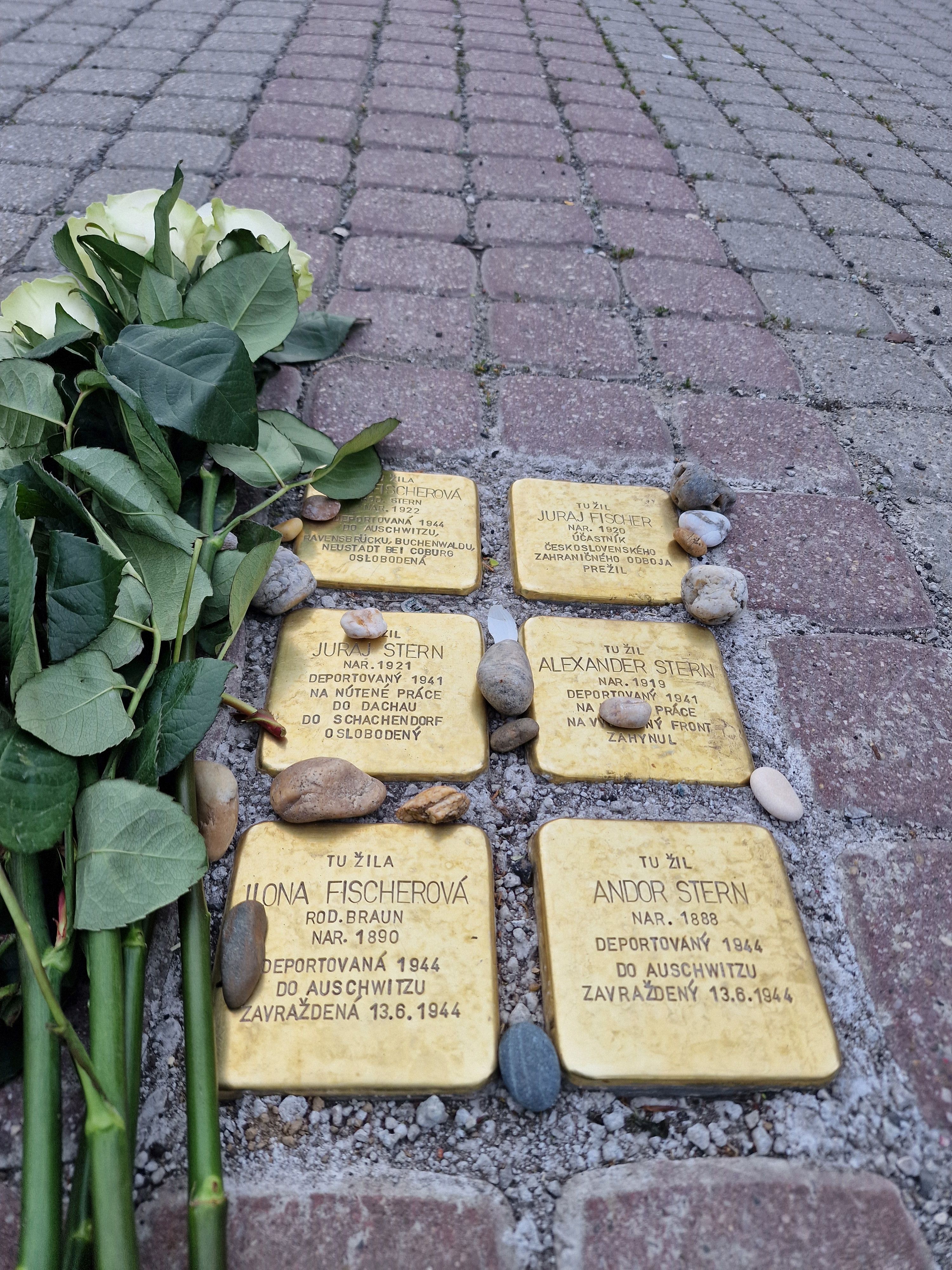 Viola Fischer Stolperstein s kvetmi